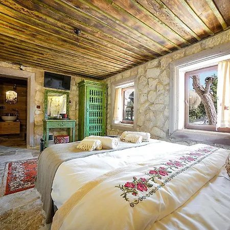 Aysel House *